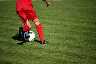 爱游戏中国官方登录入口网站-篮球运动员训练负荷智能监控系统开发，篮球专项负荷设计与安排  第2张