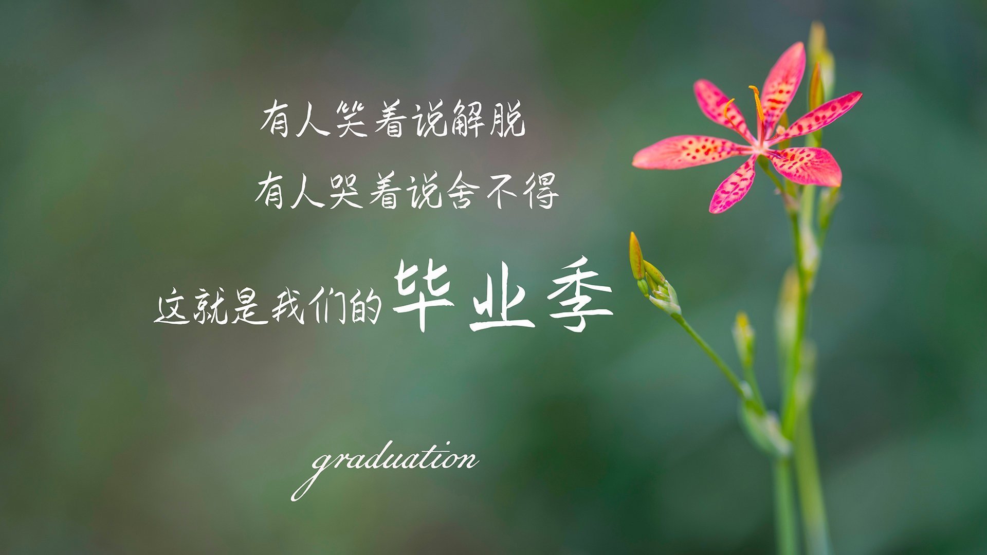 爱游戏官方主页-CBA多支球队加强教练团队建设，cba篮球教练有哪些