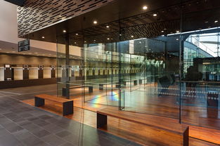 AYX SPORTS-体育医疗机构设立专项运动康复中心，运动康复中心的发展战略